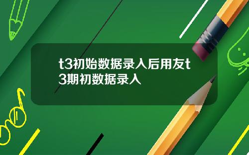 t3初始数据录入后用友t3期初数据录入