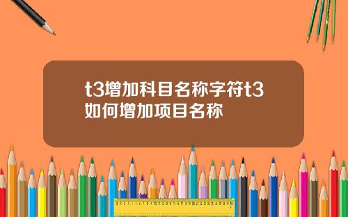 t3增加科目名称字符t3如何增加项目名称