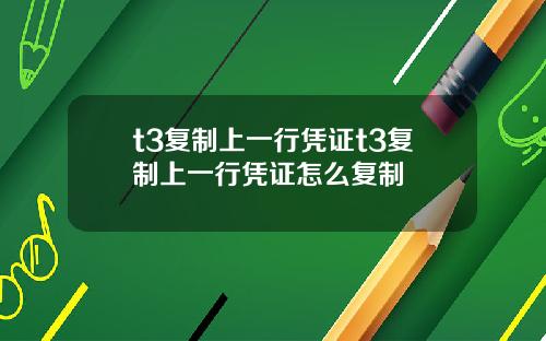 t3复制上一行凭证t3复制上一行凭证怎么复制