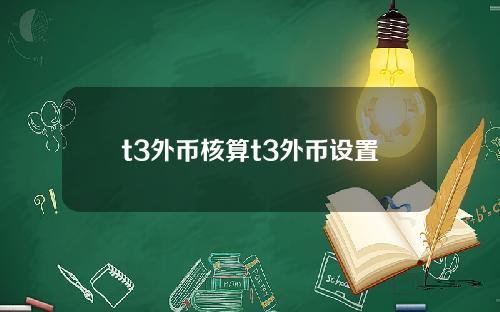t3外币核算t3外币设置