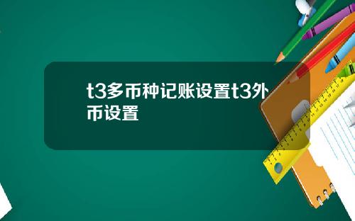 t3多币种记账设置t3外币设置