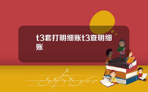 t3套打明细账t3查明细账