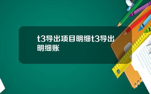 t3导出项目明细t3导出明细账