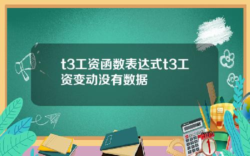 t3工资函数表达式t3工资变动没有数据