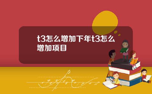 t3怎么增加下年t3怎么增加项目