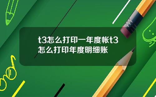 t3怎么打印一年度帐t3怎么打印年度明细账