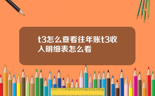 t3怎么查看往年账t3收入明细表怎么看
