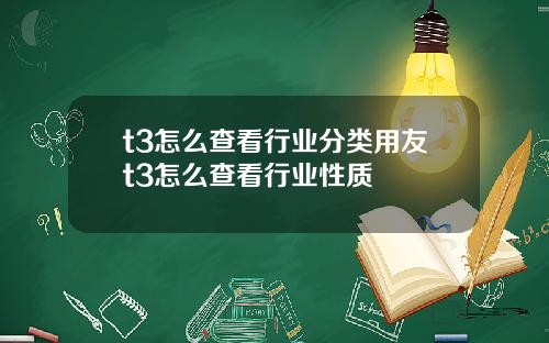 t3怎么查看行业分类用友t3怎么查看行业性质