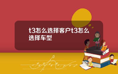 t3怎么选择客户t3怎么选择车型
