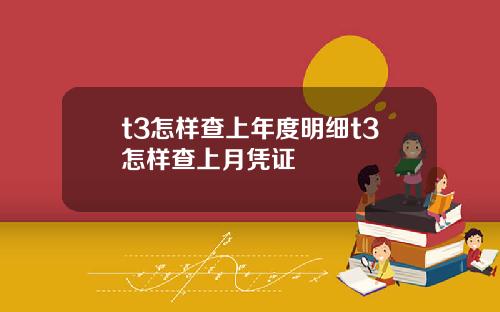 t3怎样查上年度明细t3怎样查上月凭证
