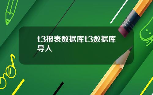 t3报表数据库t3数据库导入