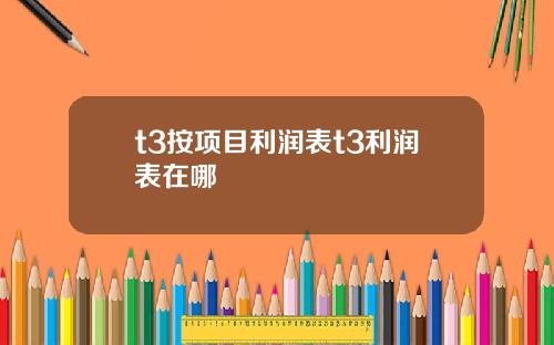 t3按项目利润表t3利润表在哪