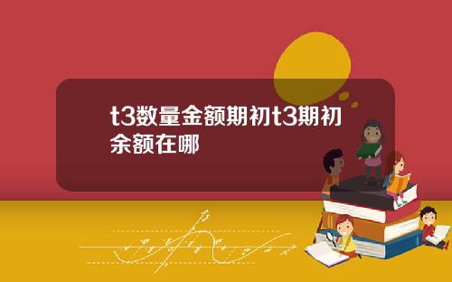 t3数量金额期初t3期初余额在哪