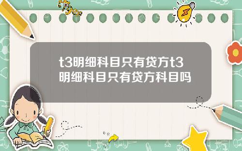 t3明细科目只有贷方t3明细科目只有贷方科目吗