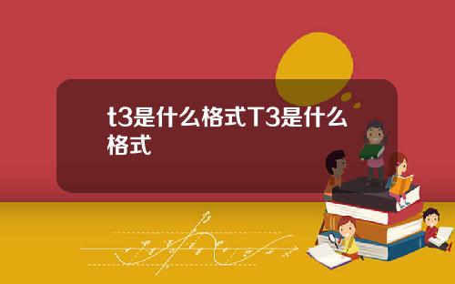 t3是什么格式T3是什么格式