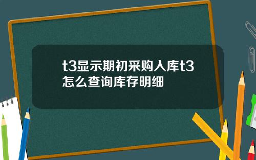 t3显示期初采购入库t3怎么查询库存明细