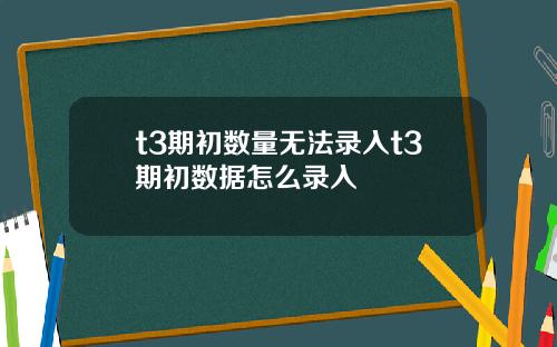 t3期初数量无法录入t3期初数据怎么录入