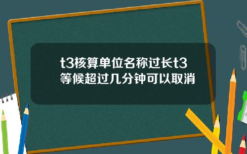 t3核算单位名称过长t3等候超过几分钟可以取消