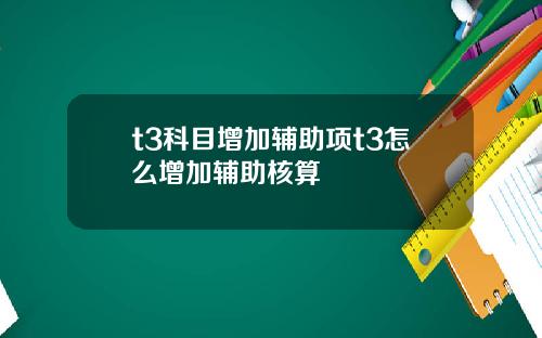 t3科目增加辅助项t3怎么增加辅助核算