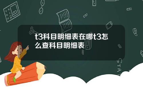 t3科目明细表在哪t3怎么查科目明细表