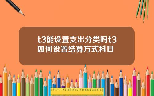 t3能设置支出分类吗t3如何设置结算方式科目