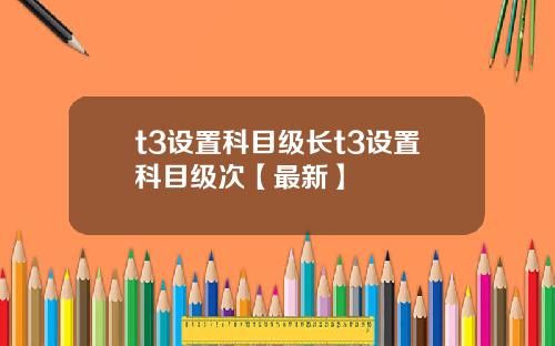 t3设置科目级长t3设置科目级次【最新】