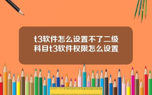 t3软件怎么设置不了二级科目t3软件权限怎么设置