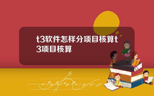 t3软件怎样分项目核算t3项目核算