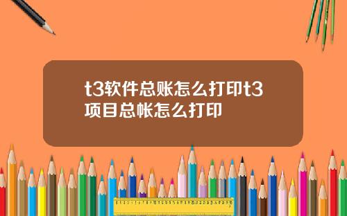 t3软件总账怎么打印t3项目总帐怎么打印