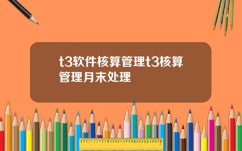 t3软件核算管理t3核算管理月末处理