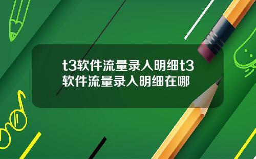 t3软件流量录入明细t3软件流量录入明细在哪