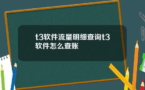 t3软件流量明细查询t3软件怎么查账