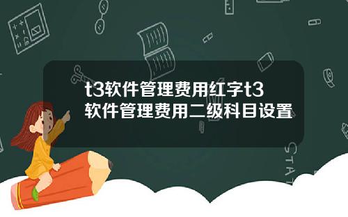 t3软件管理费用红字t3软件管理费用二级科目设置
