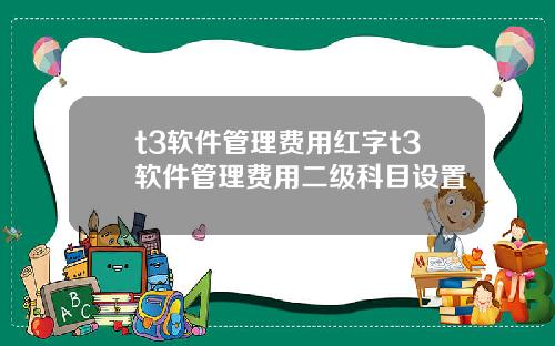t3软件管理费用红字t3软件管理费用二级科目设置