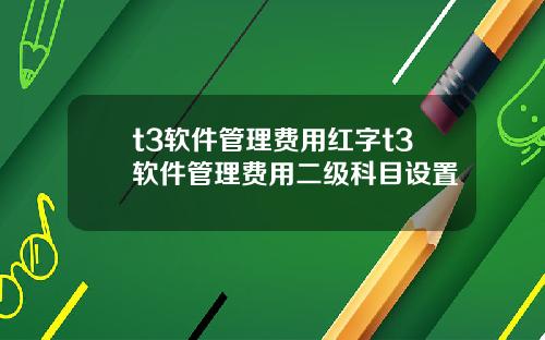 t3软件管理费用红字t3软件管理费用二级科目设置