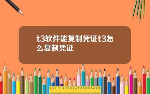 t3软件能复制凭证t3怎么复制凭证