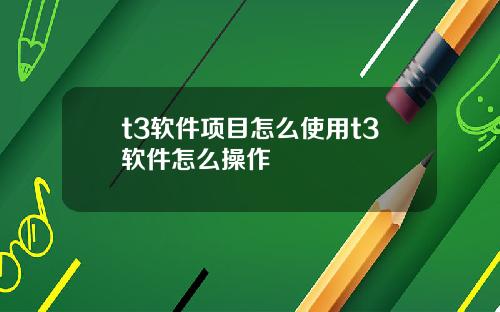 t3软件项目怎么使用t3软件怎么操作