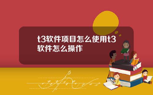 t3软件项目怎么使用t3软件怎么操作