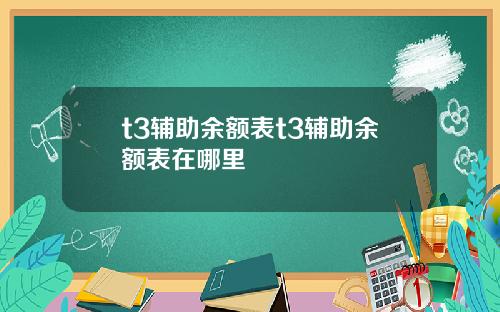 t3辅助余额表t3辅助余额表在哪里