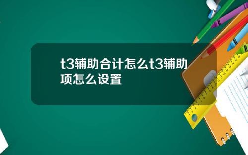 t3辅助合计怎么t3辅助项怎么设置