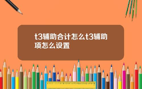 t3辅助合计怎么t3辅助项怎么设置