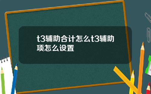 t3辅助合计怎么t3辅助项怎么设置