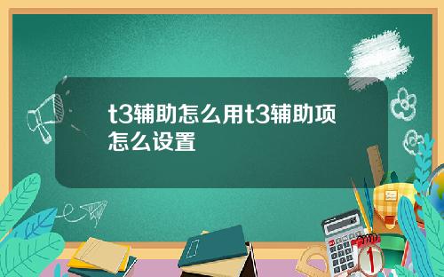 t3辅助怎么用t3辅助项怎么设置