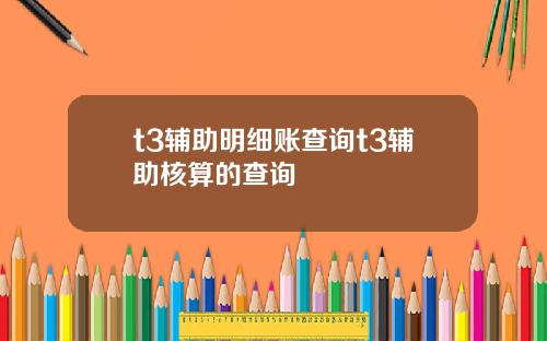 t3辅助明细账查询t3辅助核算的查询