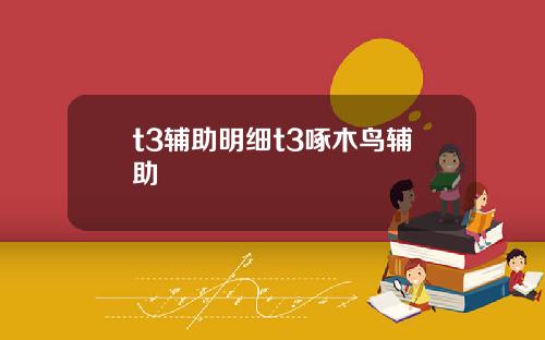 t3辅助明细t3啄木鸟辅助