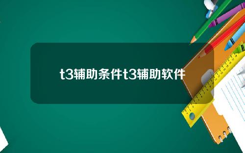 t3辅助条件t3辅助软件