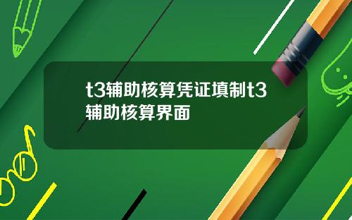 t3辅助核算凭证填制t3辅助核算界面