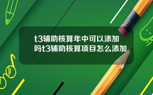 t3辅助核算年中可以添加吗t3辅助核算项目怎么添加