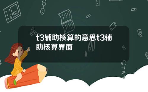 t3辅助核算的意思t3辅助核算界面