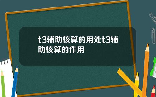 t3辅助核算的用处t3辅助核算的作用